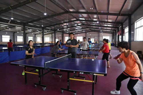 陽光文化 我院舉行 陽光文化 第一屆職工乒乓球比賽