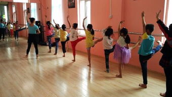 陽光文化藝術(shù)培訓(xùn)中心加盟 加盟費用 代理條件 電話 中教招商網(wǎng)