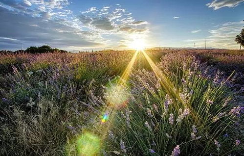 陽光的味道 掃蕩 心中的抑郁