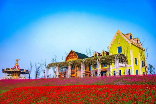 這個五一 萍鄉(xiāng),太火 熱