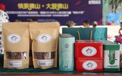 情系佛山·大愛佛山 | 碧桂園黨建推動扶貧,陽光文化進(jìn)社區(qū)