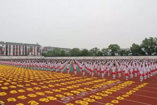 特色滿分 枝江丹陽小學端出陽光校園 文化大餐