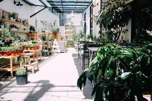 成都10大約會圣地,成都人都在這兒耍朋友