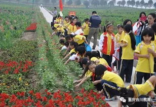 均衡教育 特色學校 云門小學 陽光 文化