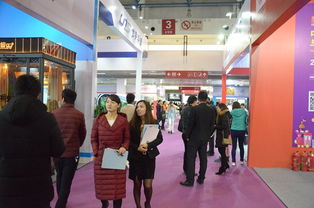 陽光娛樂 融合創新 2017中國國際文化娛樂產業博覽會隆重舉行