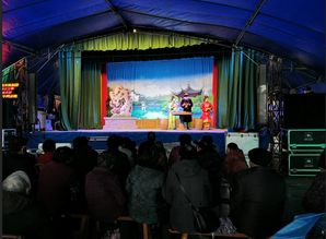 余姚市人民政府網站 教育文化 陽光文化直通車 走進豐楊河村