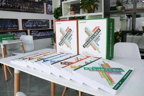 藝考生文化課 陽(yáng)光學(xué)校自編教材,每一本都是匠心之作