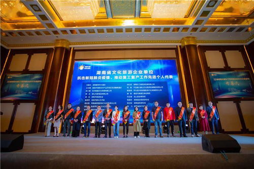 2020湖南陽光娛樂節暨首屆中老年文化旅游節開幕