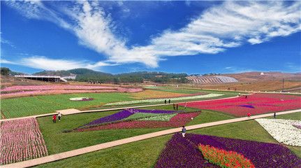 畢節市2017年“花海畢節·月月旅游”10月活動新聞發布會召開