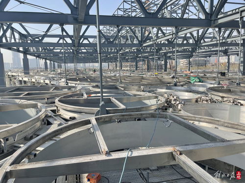 溫室花園主體結構完工 上鋼三廠在世博文化公園 黃金c位 重生