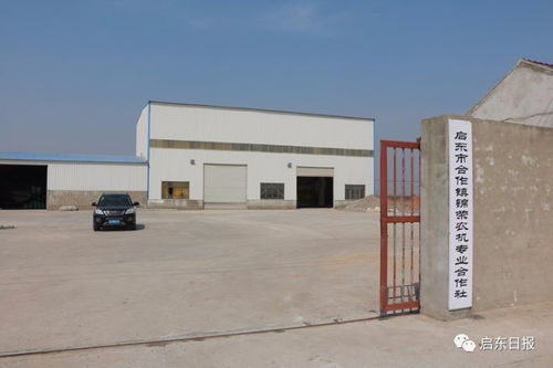 啟東合作鎮(zhèn),具有獨特歷史文化風(fēng)情的花海小鎮(zhèn)