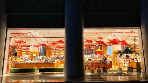 適合工作就是全部的try hard 看準(zhǔn)網(wǎng)