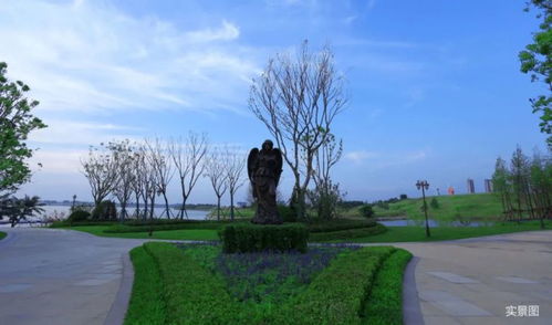 小長(zhǎng)假去哪玩 景區(qū)賽龍舟 陽(yáng)光半島端午龍舟文化節(jié)邀您登島度假