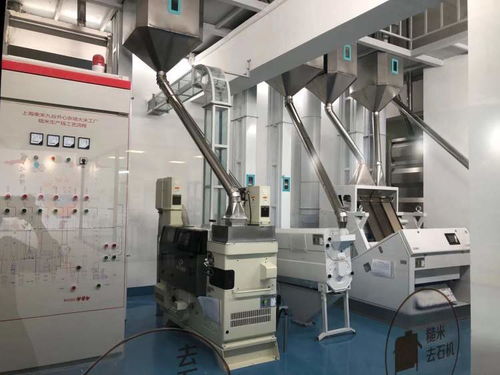 世界生態島上的稻米觀光工廠 探訪東禾九谷稻米文化園